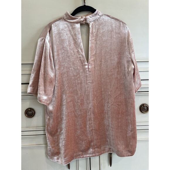 A.L.C Chocker Plunging V Neck Pink Velvet Elbow Sleeve Top‎ Size 8 Silk Blend - Picture 11 of 15